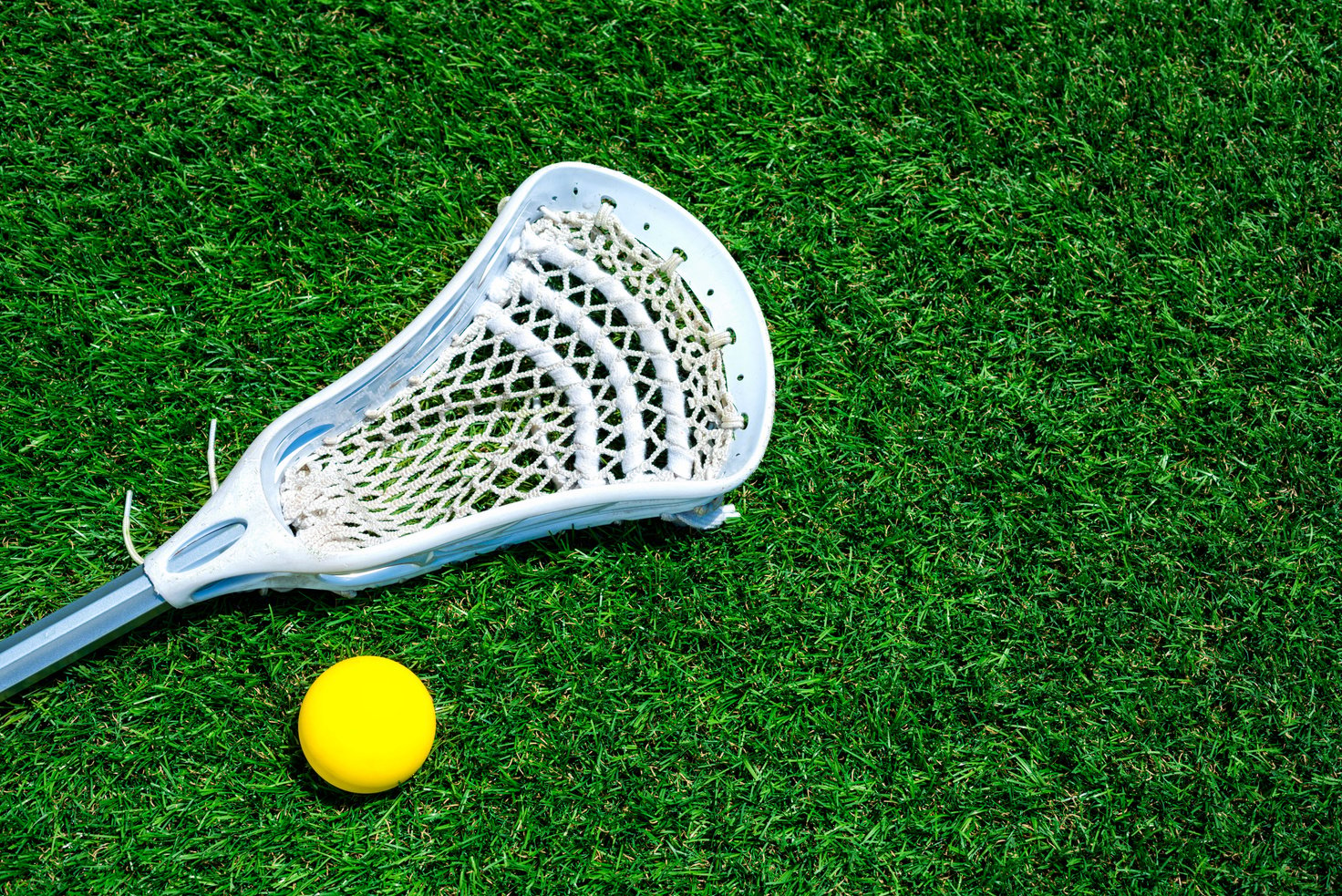 Lacrosse stick and ball on artificial turf